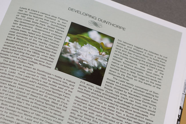 Fortune and Friendship